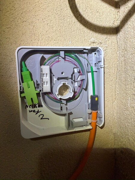 APL Bauen